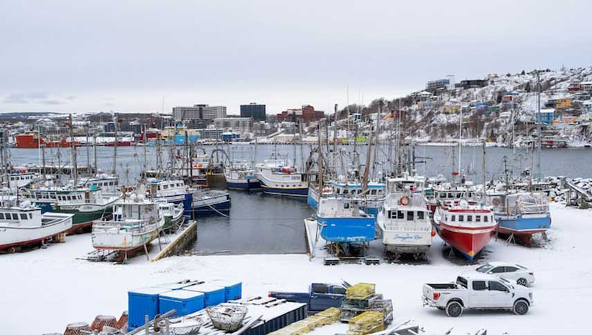 Le Canada engage plus de 6 milliards de dollars canadiens pour lutter contre l’impact des tarifs douaniers américains et trouver de nouveaux marchés.